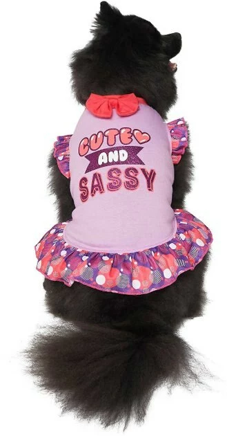 Frisco Cute & Sassy Dog & Cat Dress 3 Frisco Cute & Sassy Dog & Cat Dress