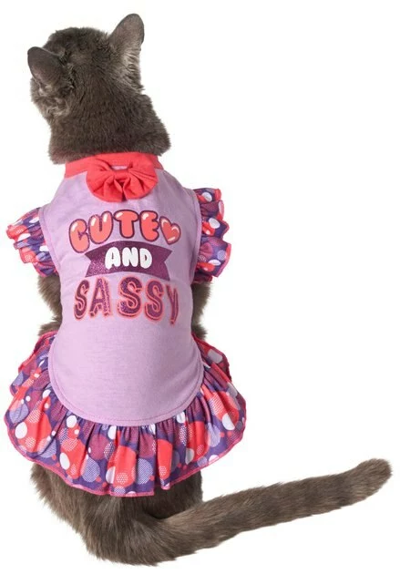Frisco Cute & Sassy Dog & Cat Dress 5 Frisco Cute & Sassy Dog & Cat Dress - Image 3