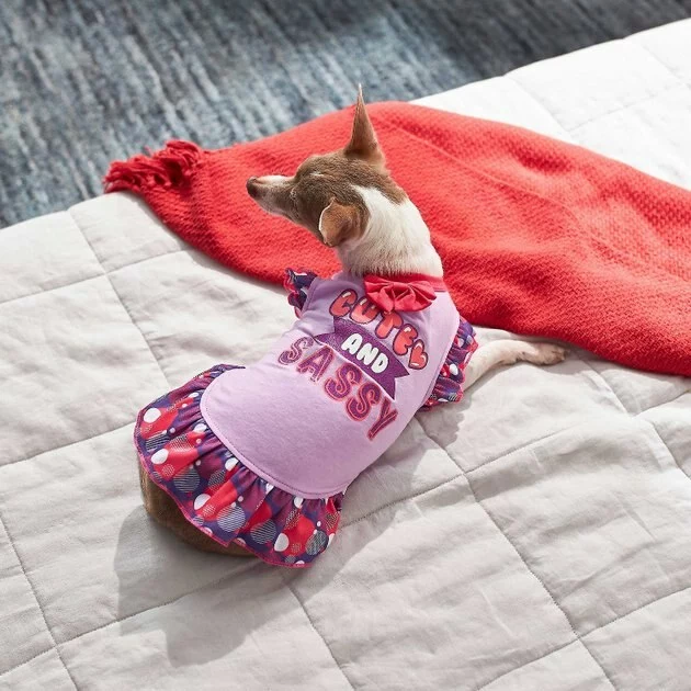 Frisco Cute & Sassy Dog & Cat Dress 8 Frisco Cute & Sassy Dog & Cat Dress - Image 6