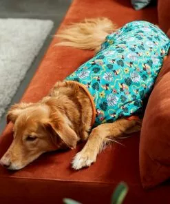 Frisco Jungle Paradise Dog & Cat Jersey PJs 13 Frisco Jungle Paradise Dog & Cat Jersey PJs -Dog Cat Corner 249111 PT7. SY630 V1614361962