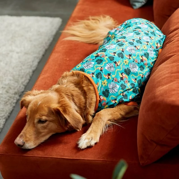 Frisco Jungle Paradise Dog & Cat Jersey PJs 8 Frisco Jungle Paradise Dog & Cat Jersey PJs - Image 6