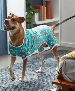 Frisco Teal Floral Dog & Cat Jersey PJs -Dog Cat Corner 249132 PT7. SY630 V1614376401