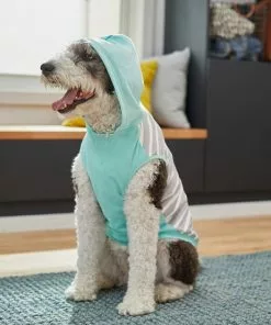 Frisco Striped Colorblock Dog & Cat Hoodie, Teal -Dog Cat Corner 249146 PT7. SY630 V1614105034