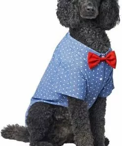 Frisco Polka Dot Chambray Dog & Cat Button Up Shirt -Dog Cat Corner 249161 PT2. SY630 V1624607862