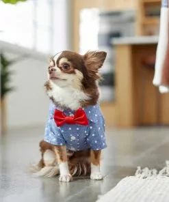 Frisco Polka Dot Chambray Dog & Cat Button Up Shirt -Dog Cat Corner 249161 PT6. SY630 V1624613869