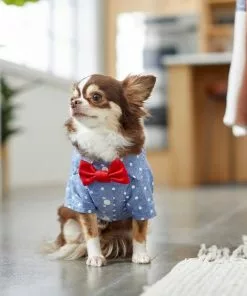 Frisco Polka Dot Chambray Dog & Cat Button Up Shirt -Dog Cat Corner 249161 PT7. SY630 V1614104808