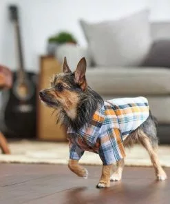 Frisco Plaid Dog & Cat Button Up Shirt -Dog Cat Corner 249173 PT6. SY630 V1624601549
