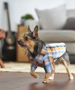Frisco Plaid Dog & Cat Button Up Shirt -Dog Cat Corner 249173 PT7. SY630 V1614103793