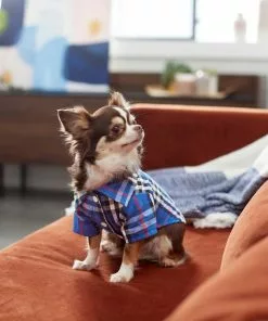Frisco Plaid Dog & Cat Button Up Shirt, Navy Plaid 16 Frisco Plaid Dog & Cat Button Up Shirt, Navy Plaid -Dog Cat Corner 249176 PT6. SY630 V1624598867