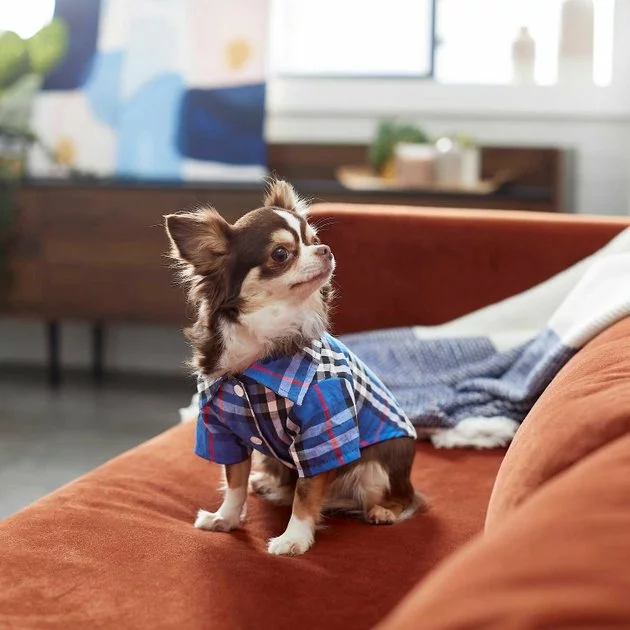 Frisco Plaid Dog & Cat Button Up Shirt, Navy Plaid 9 Frisco Plaid Dog & Cat Button Up Shirt, Navy Plaid - Image 7