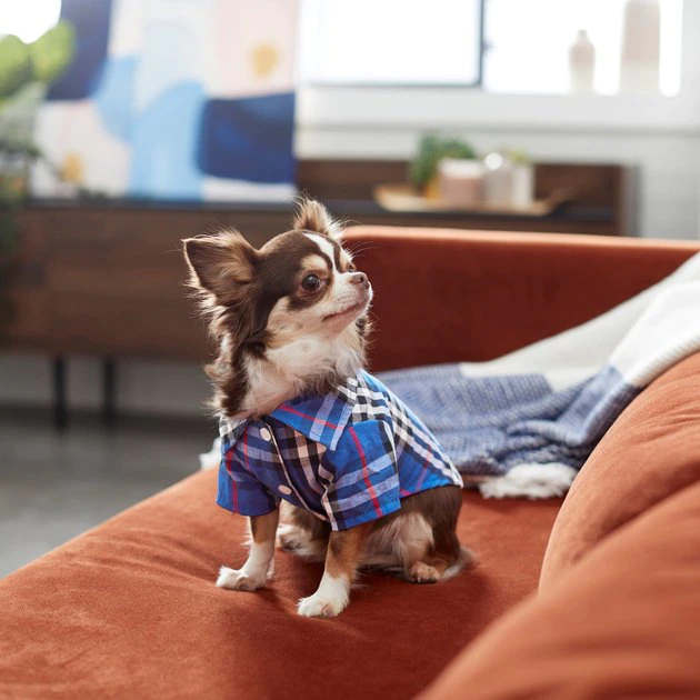 Frisco Plaid Dog & Cat Button Up Shirt, Navy Plaid 10 Frisco Plaid Dog & Cat Button Up Shirt, Navy Plaid - Image 8