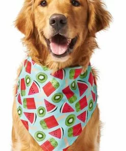 Frisco Fruity Summer Dog & Cat Bandana -Dog Cat Corner 249204 PT2. SY630 V1637644629