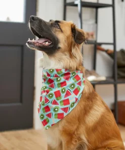 Frisco Fruity Summer Dog & Cat Bandana -Dog Cat Corner 249204 PT4. SY630 V1637668676