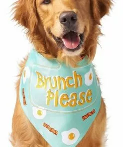 Frisco Brunch Please Dog & Cat Bandana 10 Frisco Brunch Please Dog & Cat Bandana -Dog Cat Corner 249207 PT2. SY630 V1637720586