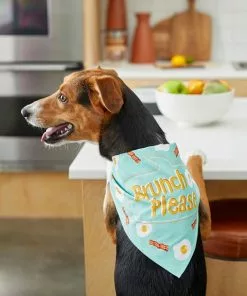 Frisco Brunch Please Dog & Cat Bandana 13 Frisco Brunch Please Dog & Cat Bandana -Dog Cat Corner 249207 PT5. SY630 V1614612830