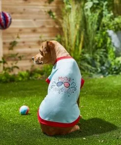 Frisco Mister Independent Dog & Cat T-Shirt 12 Frisco Mister Independent Dog & Cat T-Shirt -Dog Cat Corner 249237 PT4. SY630 V1624612960