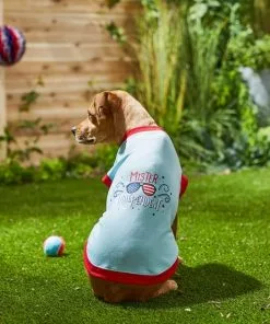 Frisco Mister Independent Dog & Cat T-Shirt 13 Frisco Mister Independent Dog & Cat T-Shirt -Dog Cat Corner 249237 PT7. SY630 V1614362555