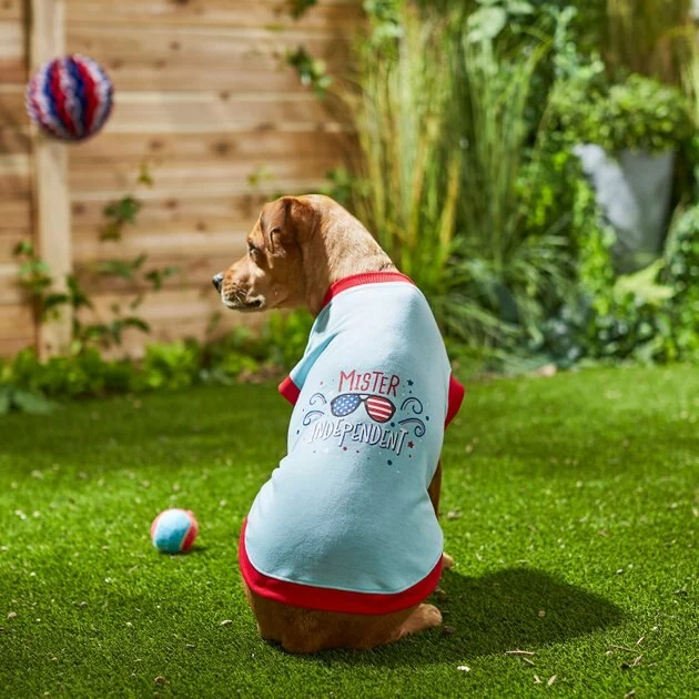 Frisco Mister Independent Dog & Cat T-Shirt 8 Frisco Mister Independent Dog & Cat T-Shirt - Image 6