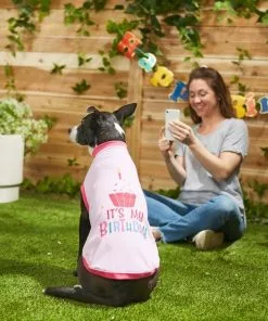 Frisco It's My Birthday & Cat T-Shirt, Pink -Dog Cat Corner 249255 PT7. SY630 V1614289423