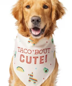 Frisco Taco 'Bout Cute Dog & Cat Bandana -Dog Cat Corner 249287 PT2. SY630 V1637727457