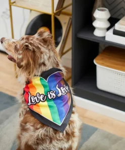 Frisco Love is Love Heart Dog & Cat Bandana 12 Frisco Love is Love Heart Dog & Cat Bandana -Dog Cat Corner 249289 PT4. SY630 V1637686392