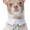 Frisco Brunch Dog & Cat Neck Tie