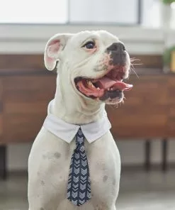 Frisco Boho Dog & Cat Neck Tie -Dog Cat Corner 249307 PT7. SY630 V1614274626