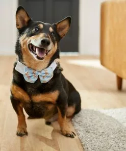 Frisco Nautical Anchor Dog & Cat Bow Tie -Dog Cat Corner 249322 PT7. SY630 V1614274594