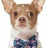 Frisco Floral Dog & Cat Bow Tie -Dog Cat Corner 249325 MAIN. SY630 V1614274916