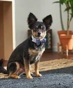 Frisco Floral Dog & Cat Bow Tie -Dog Cat Corner 249325 PT7. SY630 V1614275023