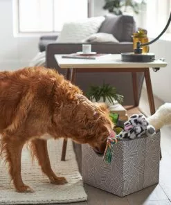 Frisco Square Collapsible Pet Toy Storage Bin, Gray Basket Weave -Dog Cat Corner 250568 PT3. SY630 V1615572162