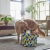 Frisco Round Collapsible Pet Toy Storage Bin, Yellow Geometric -Dog Cat Corner 250587 MAIN. SY630 V1615242941