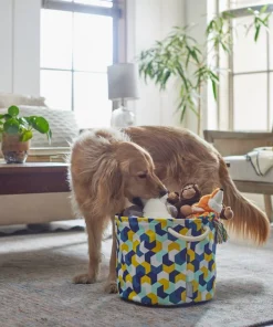 Frisco Round Collapsible Pet Toy Storage Bin, Yellow Geometric