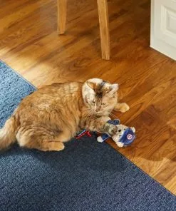 Frisco Baseball Bear Kicker Cat Toy -Dog Cat Corner 252730 PT5. SY630 V1615814492