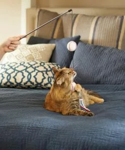 Frisco Baseball Teaser Cat Toy -Dog Cat Corner 252736 PT5. SY630 V1615814597