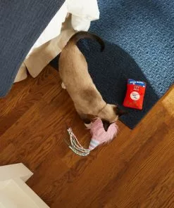 Frisco Baseball Snacks Cat Toy, 2 count -Dog Cat Corner 252738 PT5. SY630 V1615814603