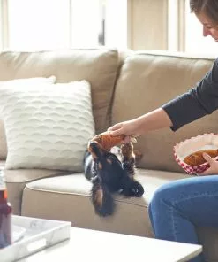 Frisco Baseball Hide-and-Seek Corndog Dog Toy -Dog Cat Corner 252746 PT5. SY630 V1615814528