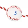 Frisco Baseball Plush with Rope Dog Toy 2 Frisco Baseball Plush with Rope Dog Toy -Dog Cat Corner 252752 MAIN. SY630 V1613158294