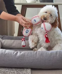 Frisco Baseball Plush with Rope Dog Toy 7 Frisco Baseball Plush with Rope Dog Toy -Dog Cat Corner 252752 PT5. SY630 V1615814573
