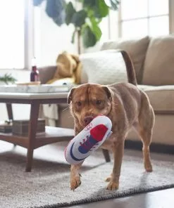 Frisco Baseball Cleat Latex Dog Toy -Dog Cat Corner 252764 PT5. SY630 V1615814650