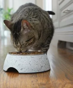 Frisco Quartz Design Stainless Steel Dog & Cat Bowl -Dog Cat Corner 253042 PT2. SY630 V1616594192