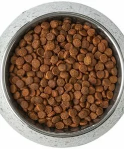 Frisco Quartz Design Stainless Steel Dog & Cat Bowl -Dog Cat Corner 253042 PT5. SY630 V1616526809