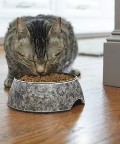 Frisco Black Marble Design Stainless Steel Dog & Cat Bowl 12 Frisco Black Marble Design Stainless Steel Dog & Cat Bowl -Dog Cat Corner 253046 PT2. SY630 V1616599598