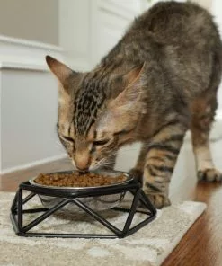 Frisco Elevated Stainless Steel Dog & Cat Bowl with Metal Stand -Dog Cat Corner 253054 PT2. SY630 V1616594197