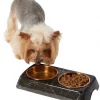 Frisco Copper Stainless Steel Double Dog & Cat Bowls with Black Marble Stand, 0.75 Cups -Dog Cat Corner 253058 MAIN. SY630 V1616075012