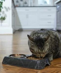 Frisco Copper Stainless Steel Double Dog & Cat Bowls with Black Marble Stand, 0.75 Cups -Dog Cat Corner 253058 PT2. SY630 V1616594213