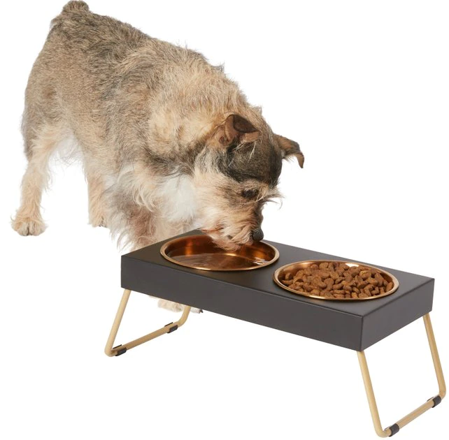 Frisco Copper Stainless Steel Elevated Foldable Double Dog & Cat Bowls 3 Frisco Copper Stainless Steel Elevated Foldable Double Dog & Cat Bowls