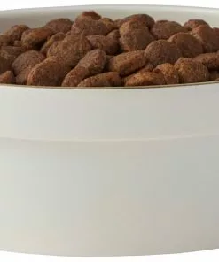 Frisco Gold Trim Melamine Dog & Cat Bowl, Cream -Dog Cat Corner 253062 PT3. SY630 V1616595685