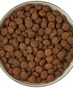 Frisco Gold Trim Melamine Dog & Cat Bowl, Cream -Dog Cat Corner 253062 PT5. SY630 V1616595396