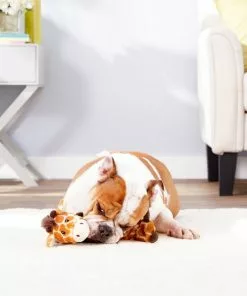 Frisco||True Chews Frisco Bungee Plush Squeaking Giraffe Dog Toy & True Chews Premium Chicken Pot Pie Recipe Dog Treats, 12-oz bag -Dog Cat Corner 253091 PT2. SY630 V1600797088